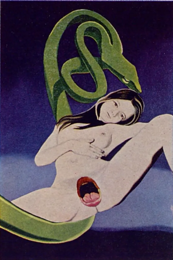 Playboy Advisor